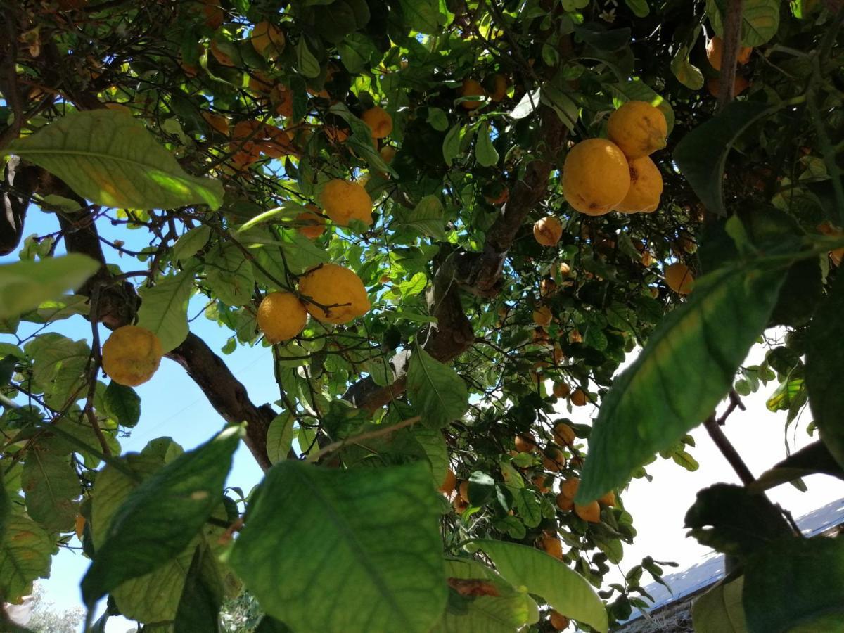 Lumie Di Sicilia Bed and Breakfast Πόρτο Εμπέντοκλε Εξωτερικό φωτογραφία