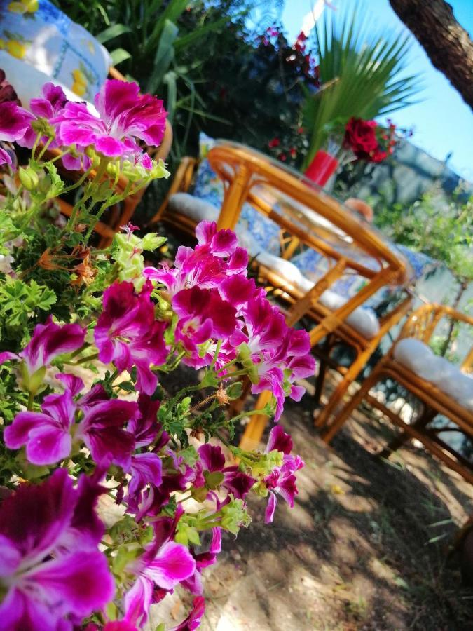 Lumie Di Sicilia Bed and Breakfast Πόρτο Εμπέντοκλε Εξωτερικό φωτογραφία